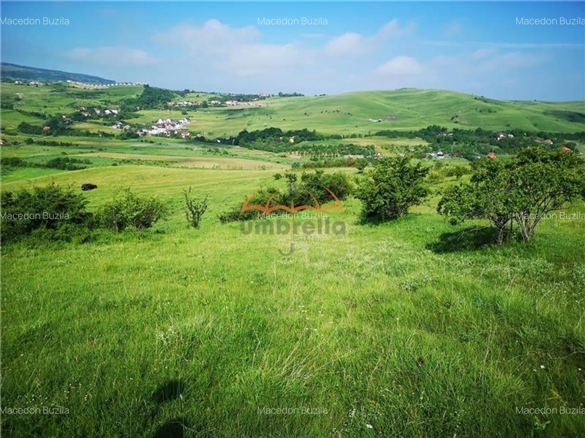 Teren de  vanzare in Zona Gheorgheni 5.801 mp - 1
