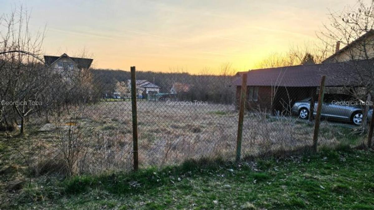Teren intravilan 1056 mp cu cabană 44 mp, Pasărea – Brănești (Ilfov) - 9