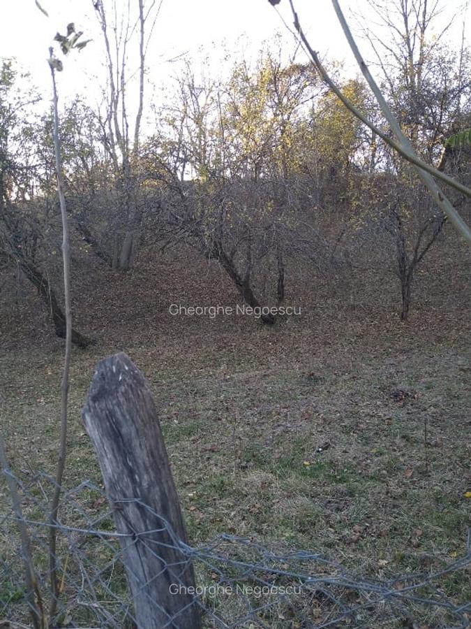 Teren intravilan 3.788 mp, deschidere 39 m, Fieni, sat Costești, jud. Dâmbovița - 5