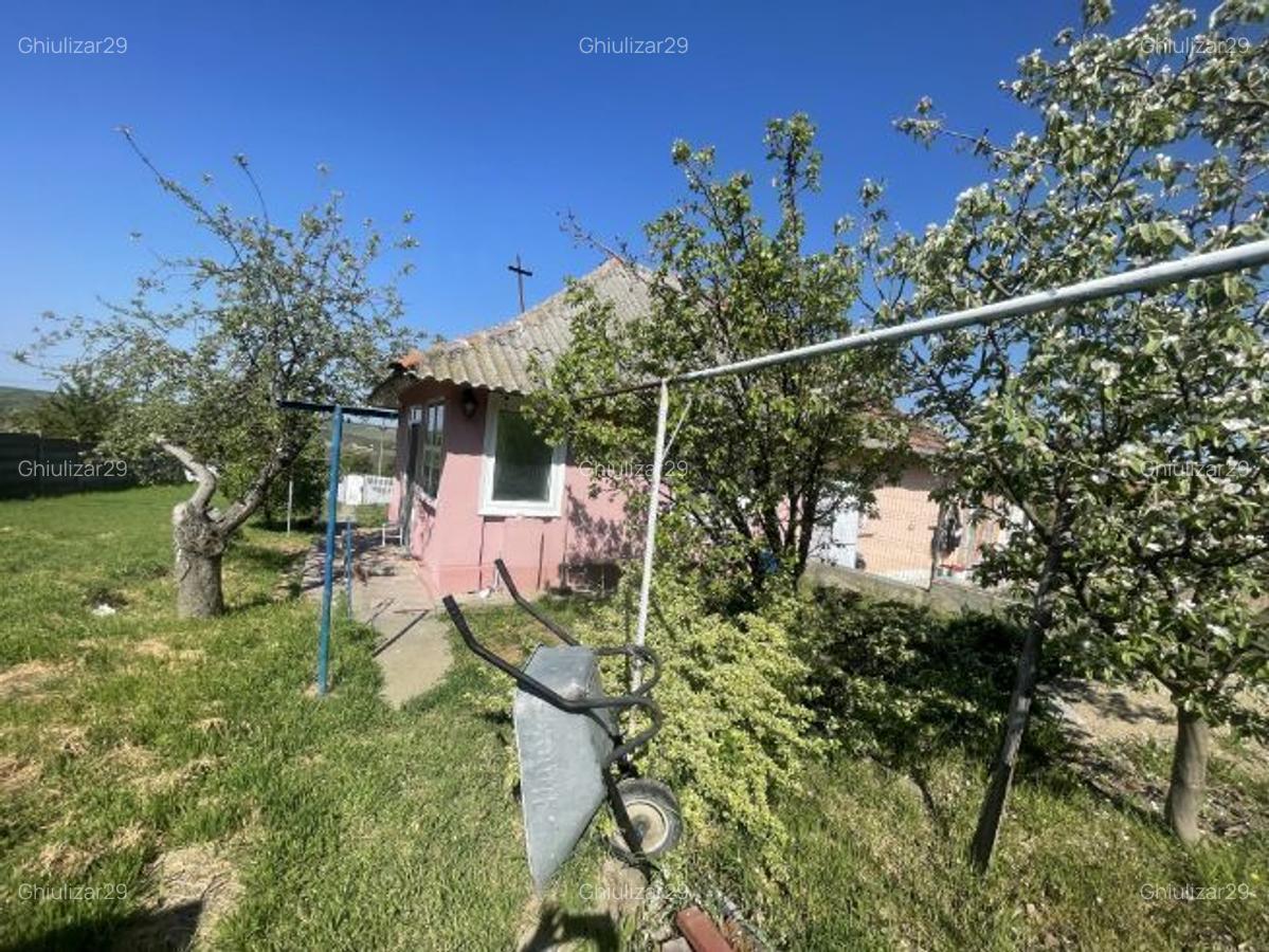 Se vinde casa - 5