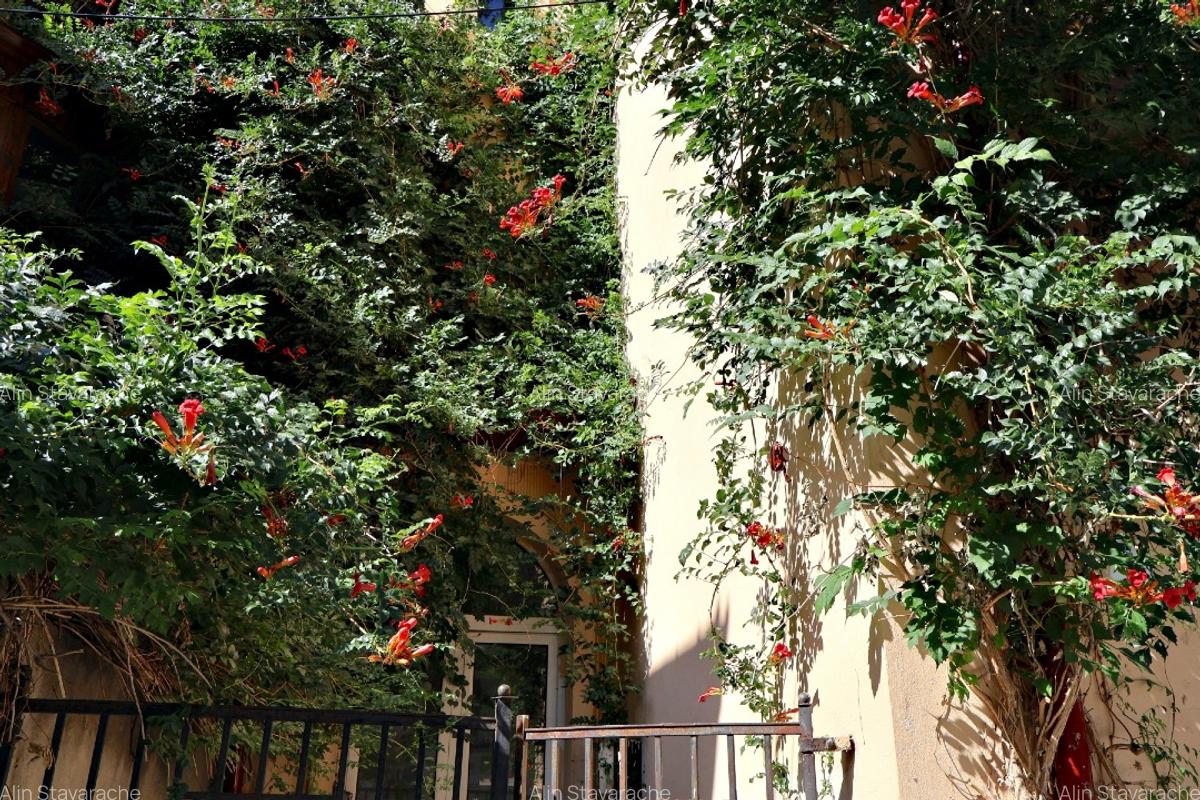 Vila Art Deco din Calea Dorobanților - 9