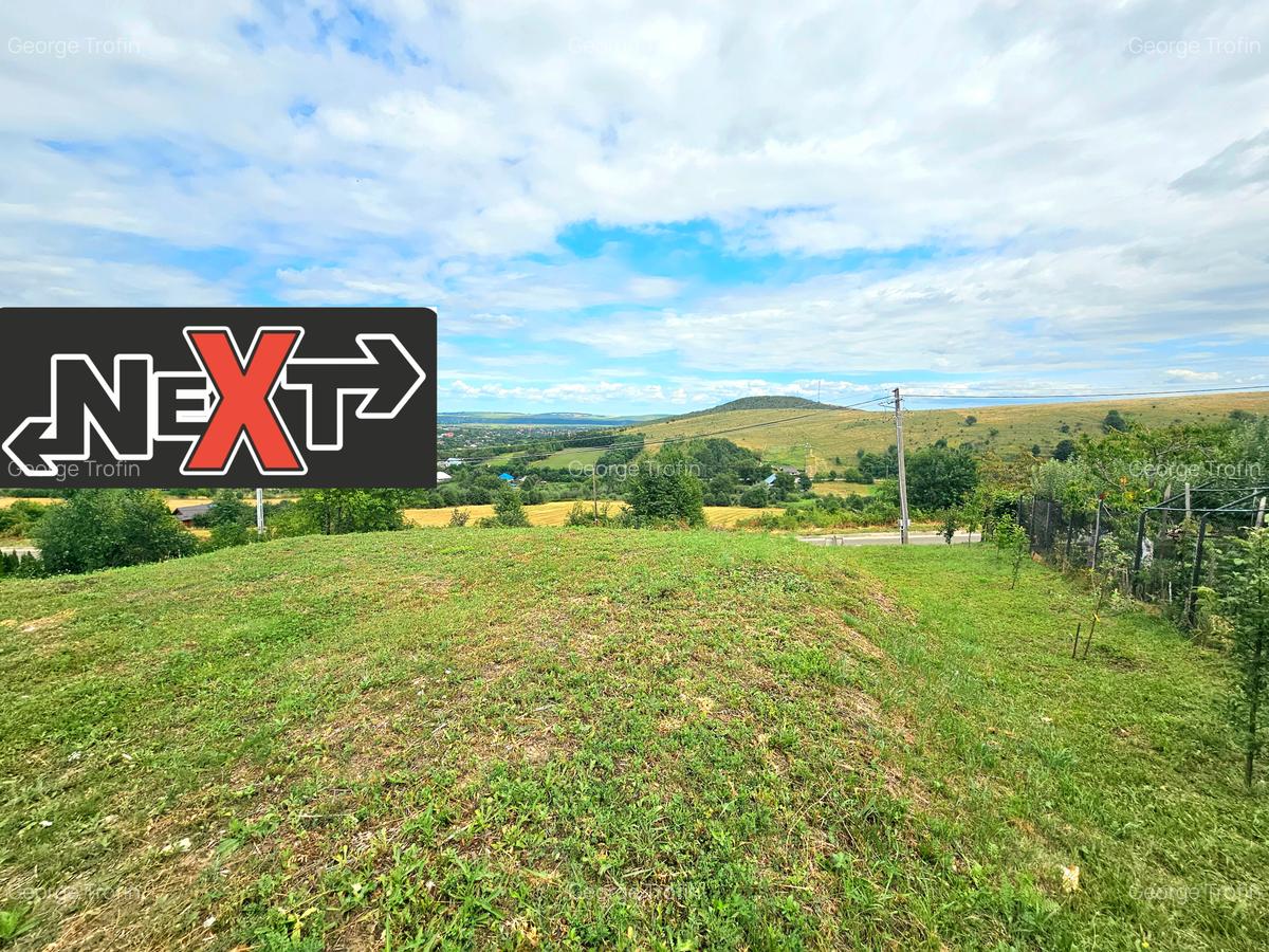 Teren dobreni la strada principala - 1