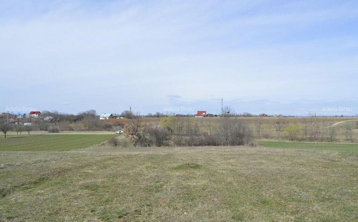 Suseni - Teren intravilan rezidential, suprafata 4000 mp - 11