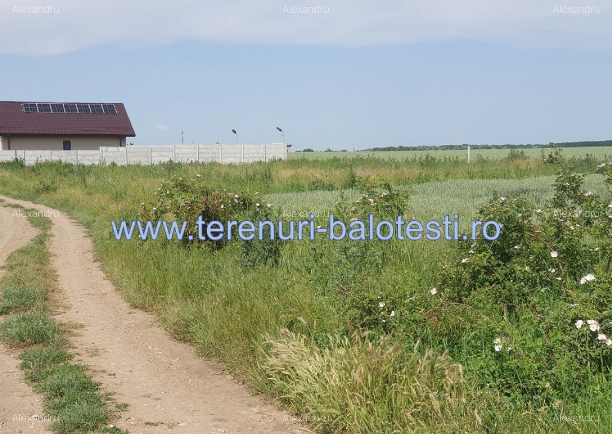 Teren cu vedere la lac Balotesti 600mp - 11