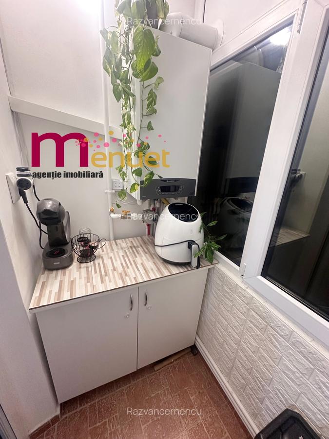 Apartament 3 camere,zona Vest,renovat - 9