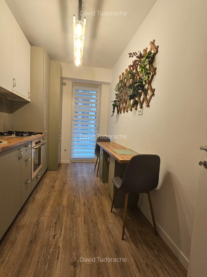 Studio modern Theodor Pallady - 4