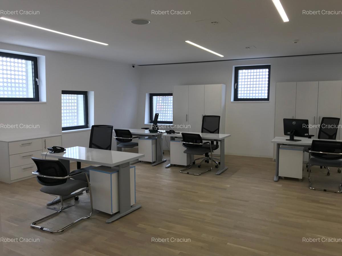 Dristor-Mihai Bravu - spatiu birouri si depozit - 5