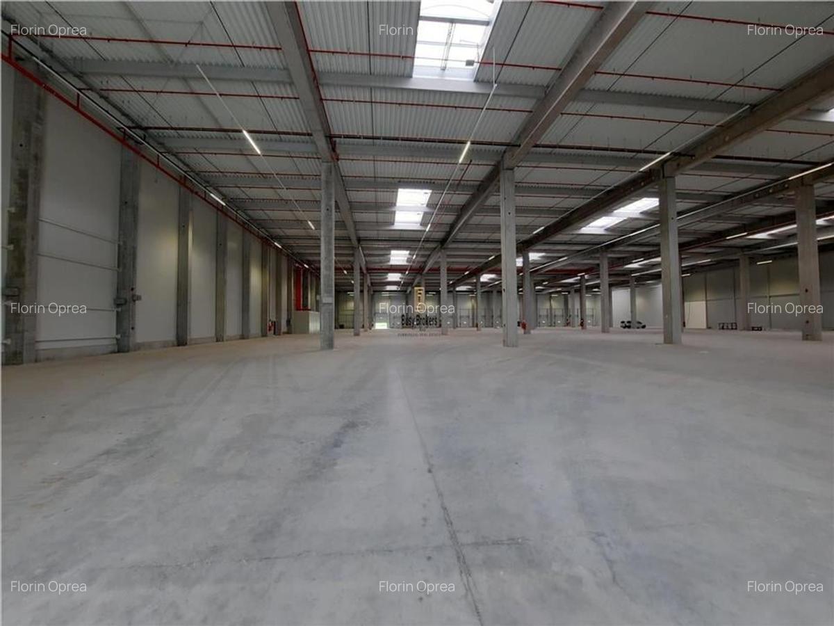 Spatiu Industrial - 3500 mp - Logistica - Productie - Depozitare - Distributie - 6