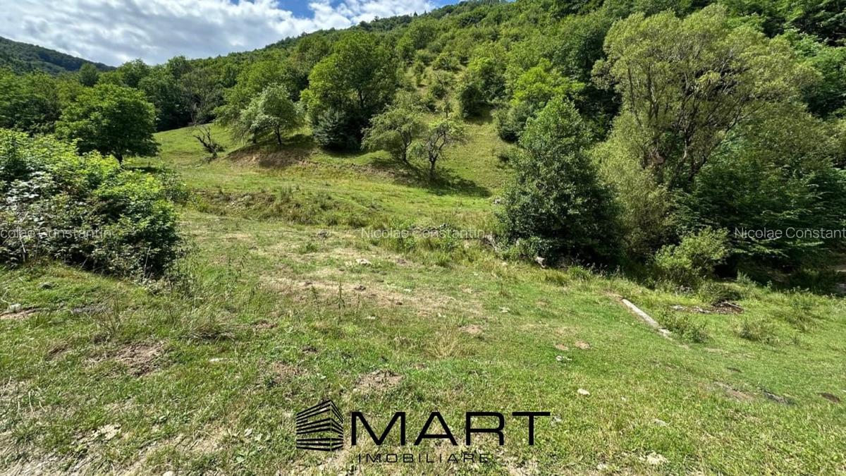 Teren intravilan 8500mp Rasinari - 4