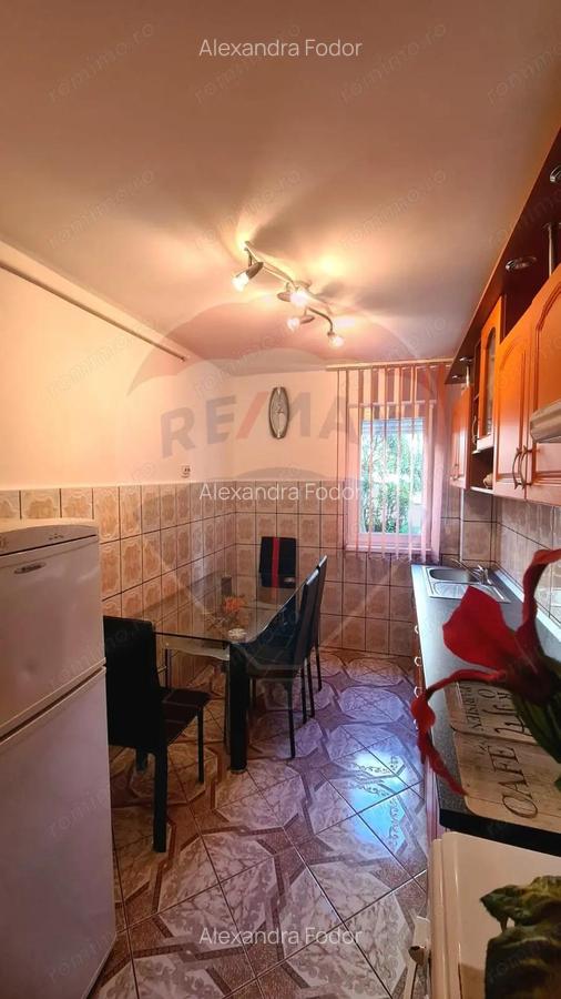 Apartament la parter, str. Sinaia, cartier Gura Campului - 6