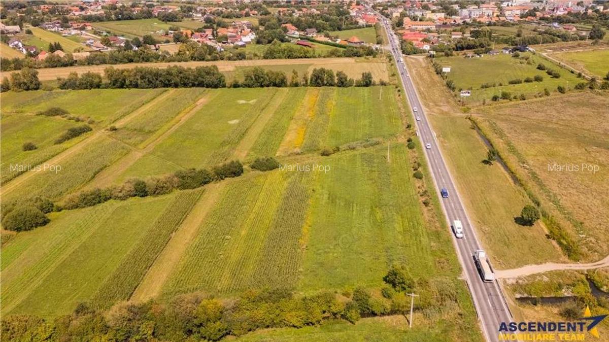 Teren extravilan Lunca Calnicului langa E574 - 3