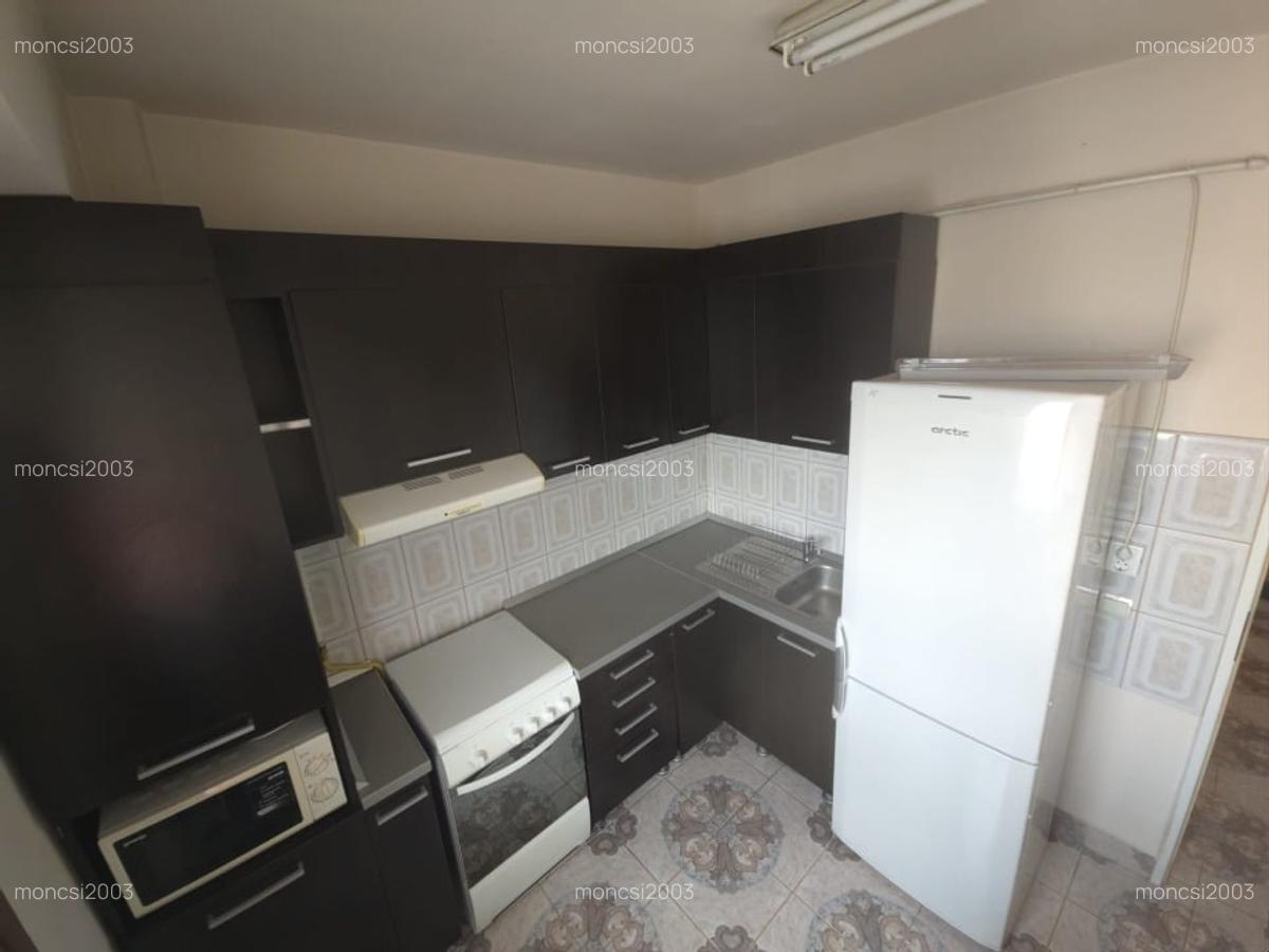 VAND APARTAMENT 1 CAMERA CU LOC DE PARCARE SI BOXA, ZONA INTRE LACURI - 6