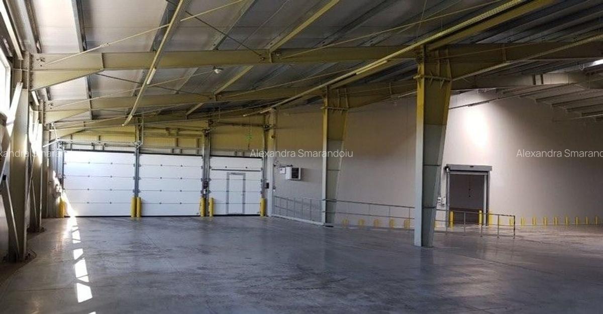 Inchiriere spații cu suprafețe între 600 mp și 3.000 mp /  Logistics park - 10