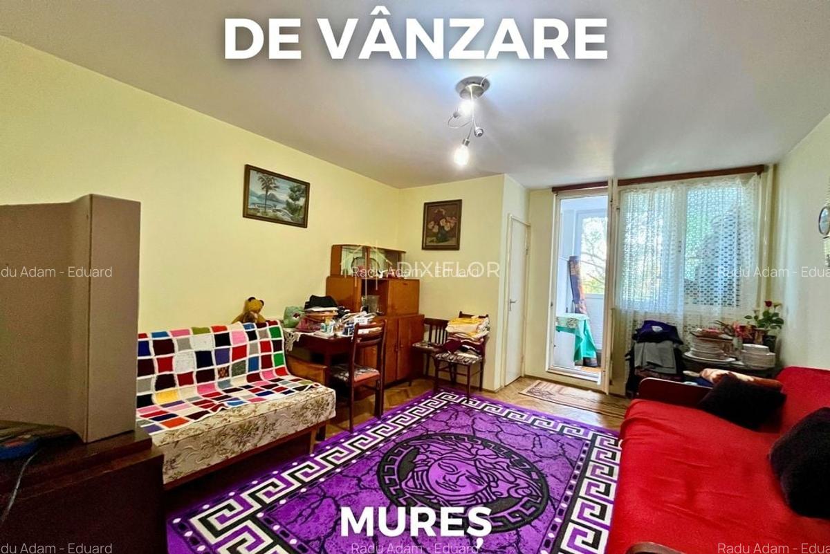 Garsonieră | Aleea Carpați | 66.000 EUR - 1