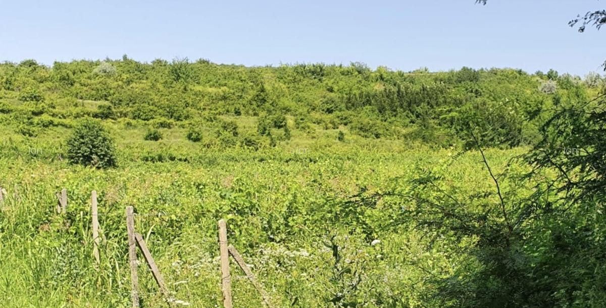 Parcele teren intravilan Valea Calugareasca 500mp - 1