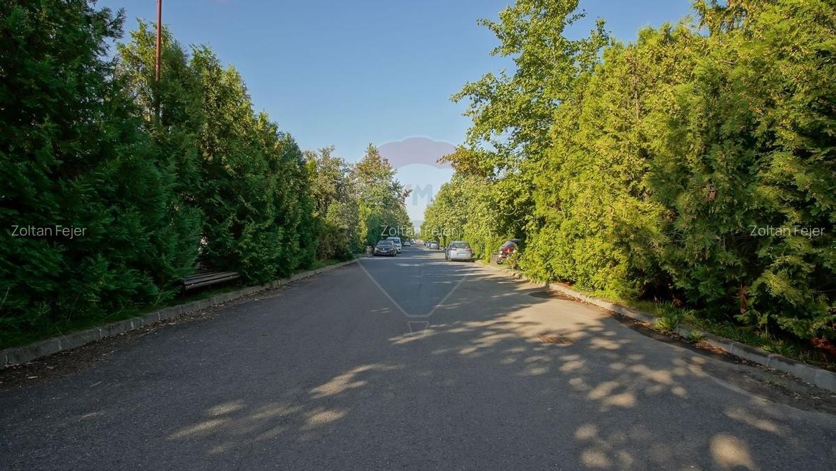 Casa de inchiriat, "acasa" in mijlocul naturii, aproape de Brasov! - 29