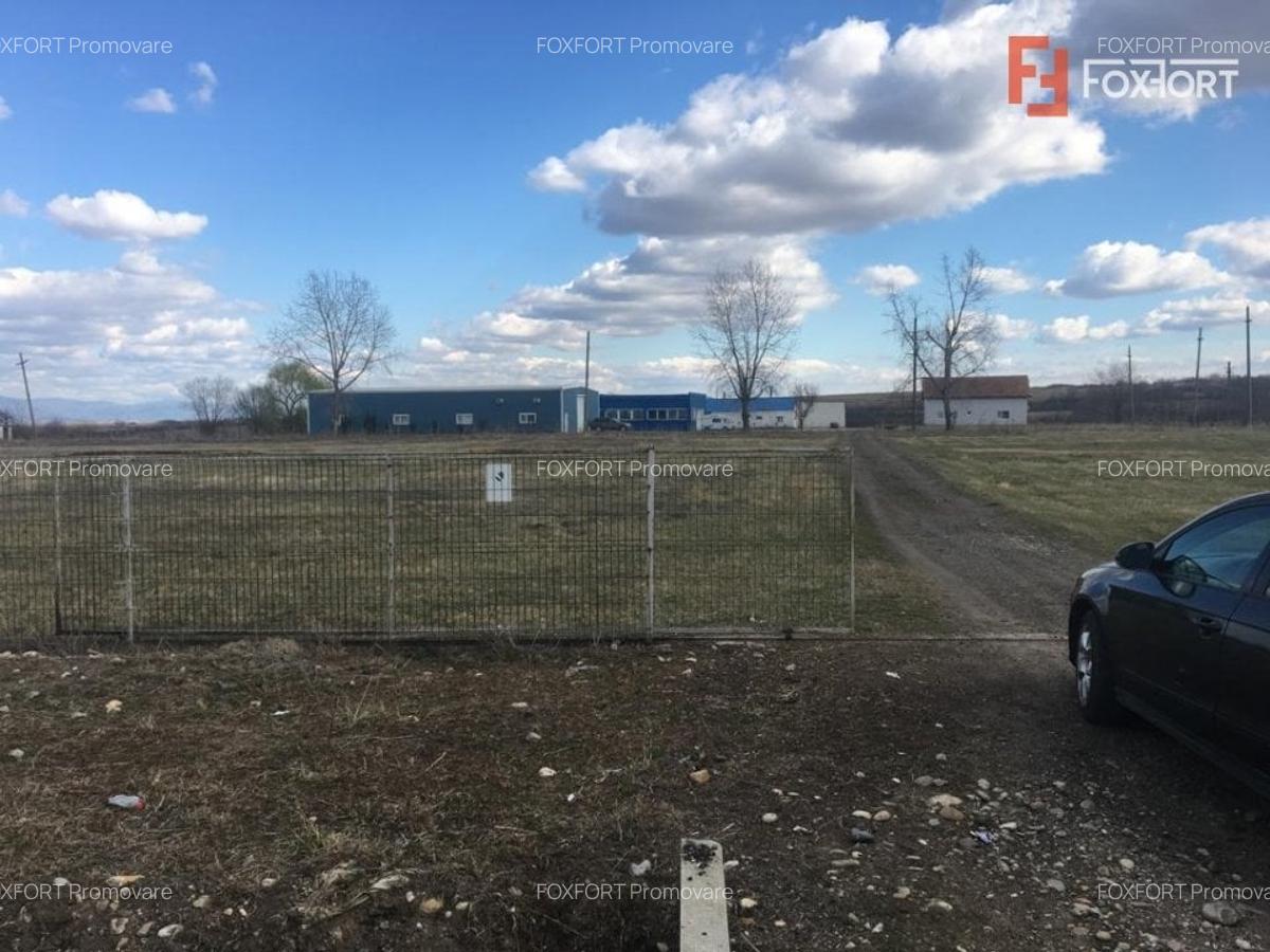 De vanzare - Fabrica de Apa Minerala - Sacosu Mare - ID V5551 - 7