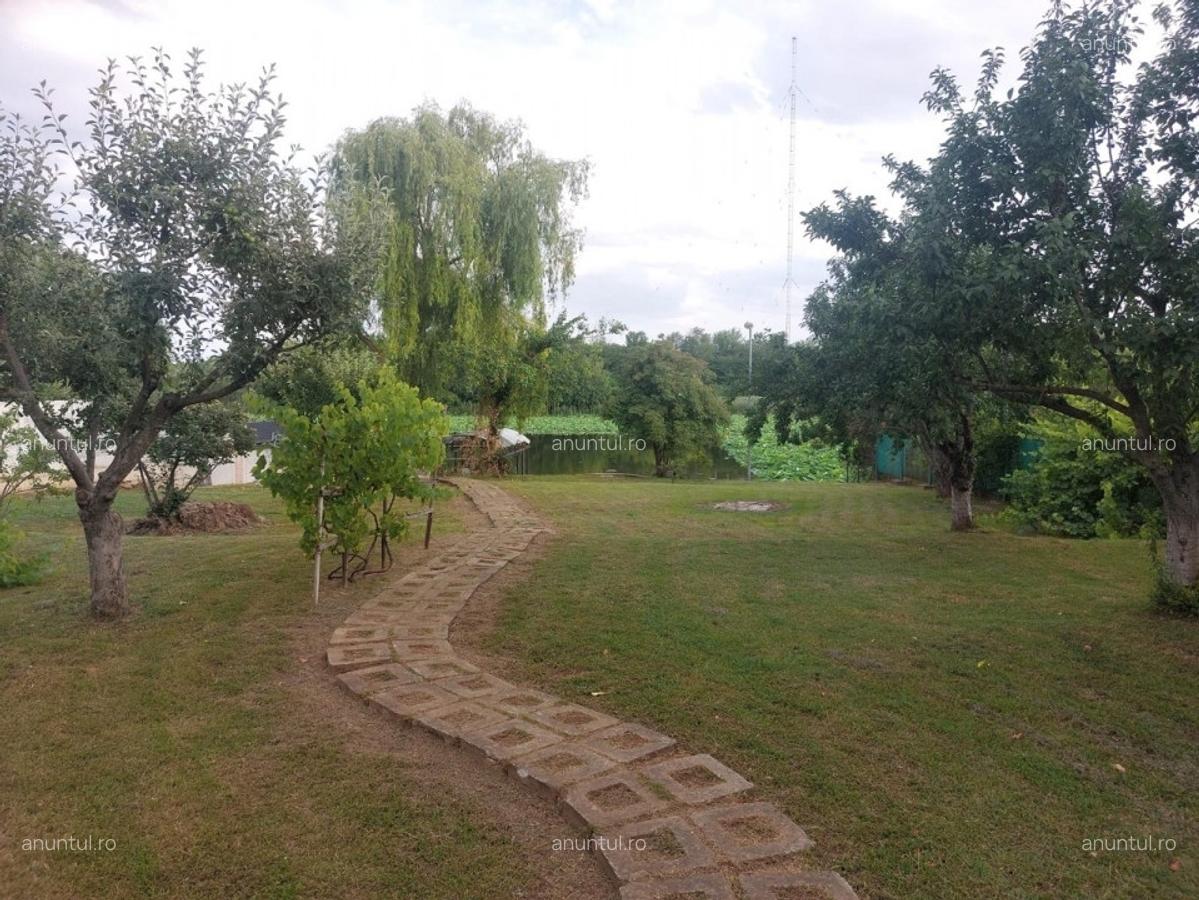 Snagov - Tancabesti - 5