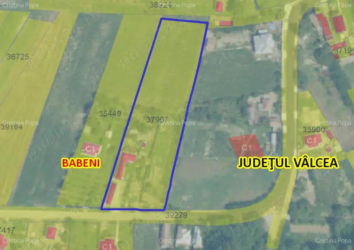 Casa cu teren de 5100 mp Babanei Romani - 2