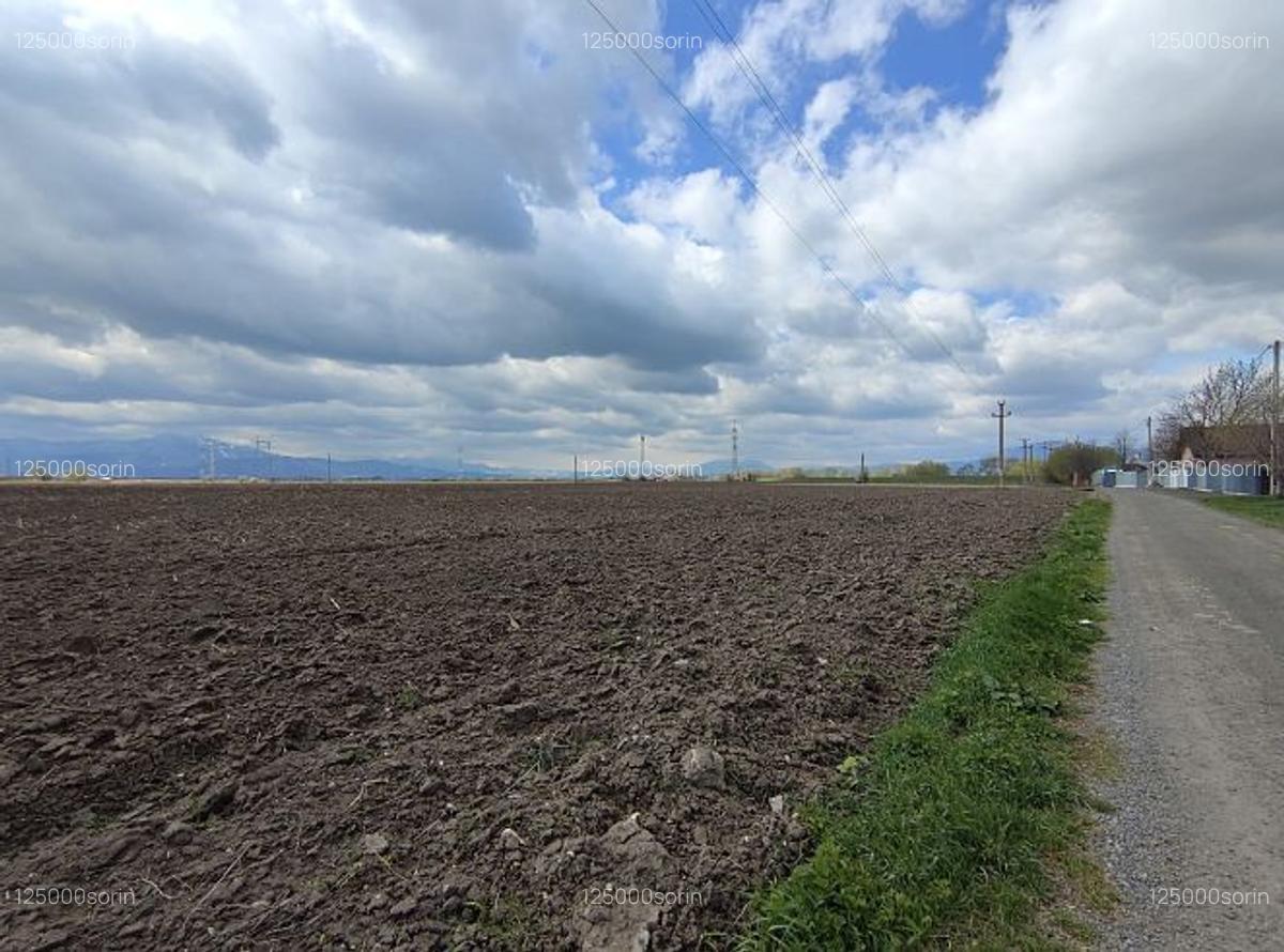 Teren intravilan 4,57 ha în Stupini - DN13. - 6