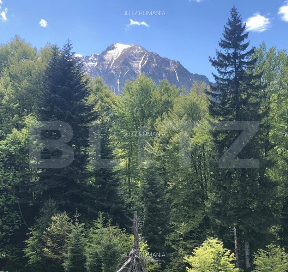 De vanzare, teren intravilan 5.500mp, Predeal - 7