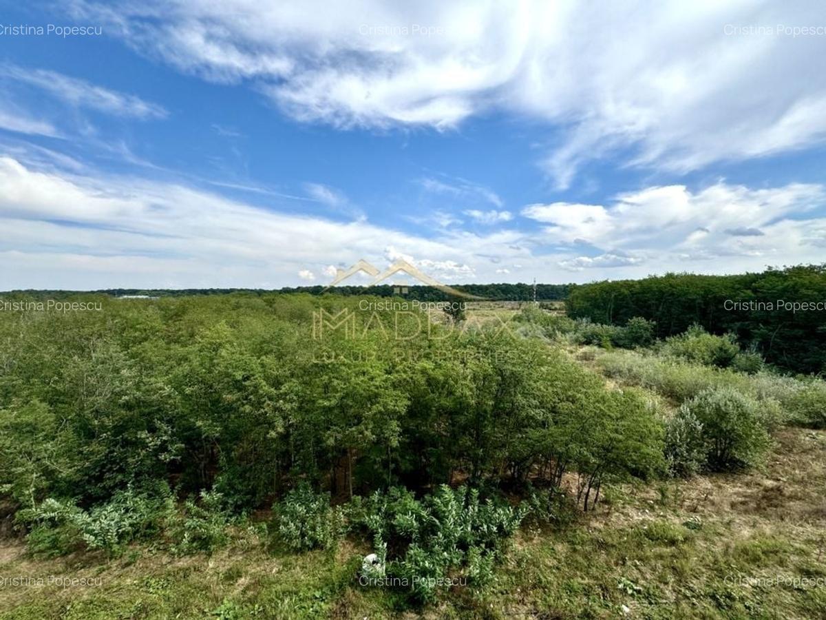 Studio Dublu *62.44mp* + Parcare // Baneasa Forest View - 8