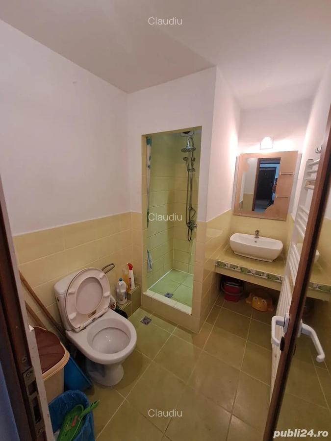 Apartament 2 camere de vanzare langa Parcul Tineretului - 5