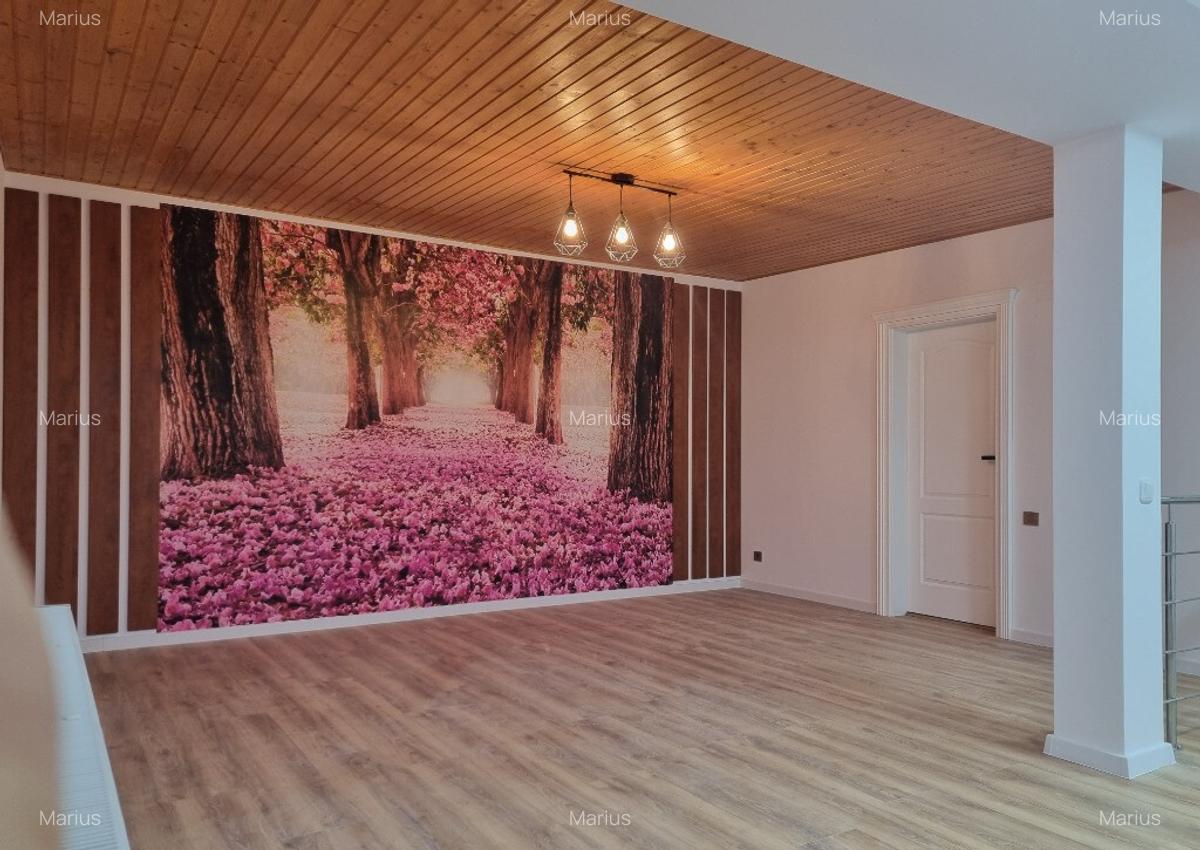 Vila Duplex Bucuresti langa Pasajul Domnesti - 4