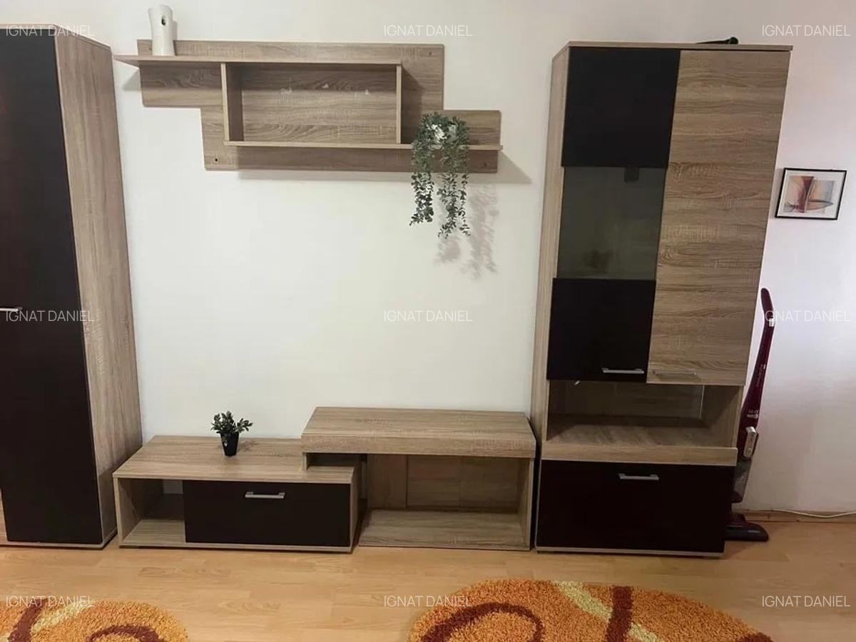 Garsoniera, zona Podu Ros-Gara Internationala - 3