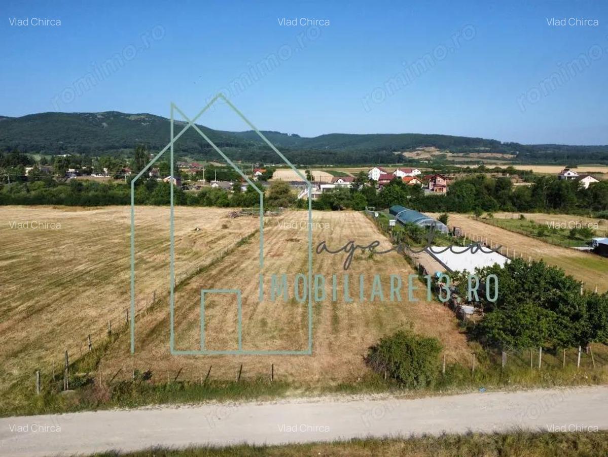Teren de vanzare sau inchiriere, 4.500 mp Petresti, zona zavoi - 2