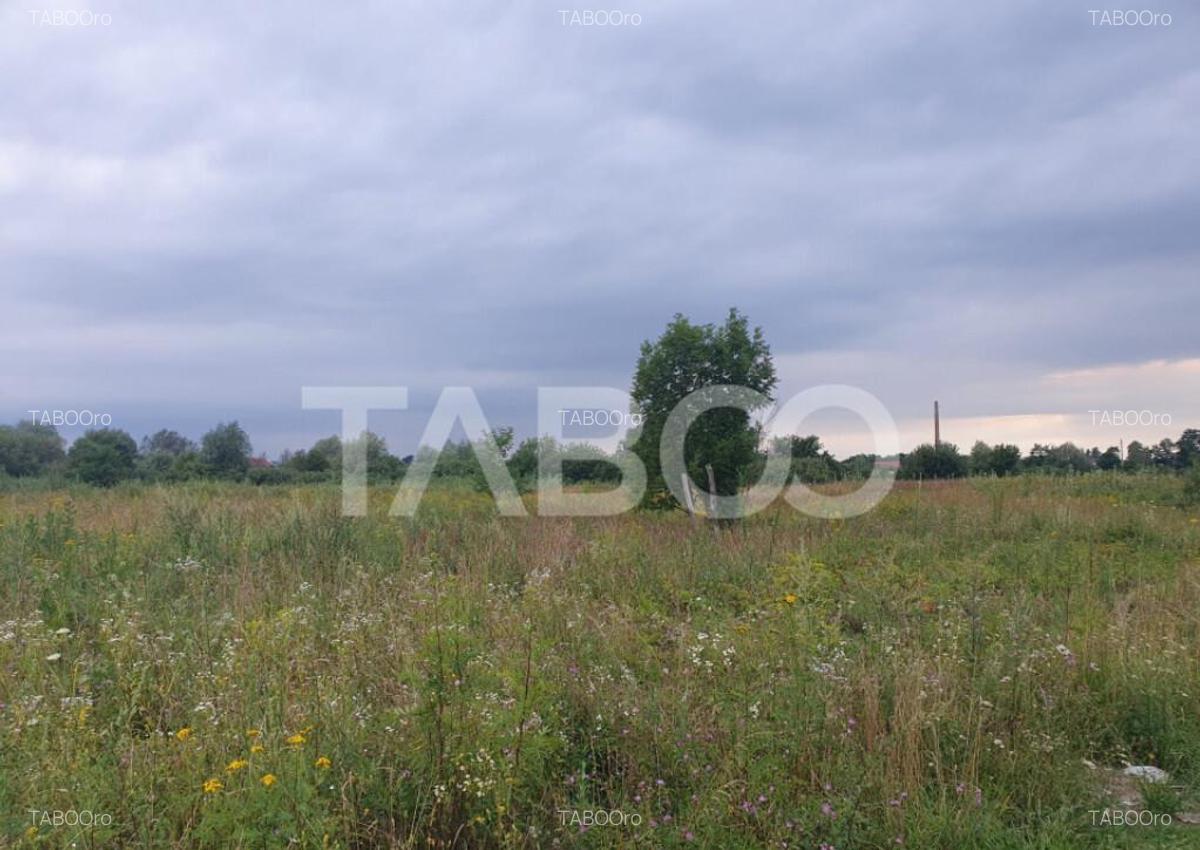 Teren intravilan 5040 mp in Sercaia acces DN1 168 m - 7