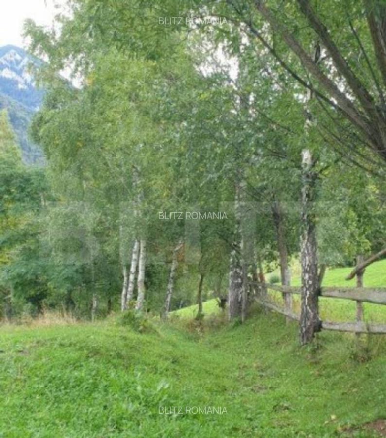 Teren 13.570 mp, Moieciu Pestera - 18