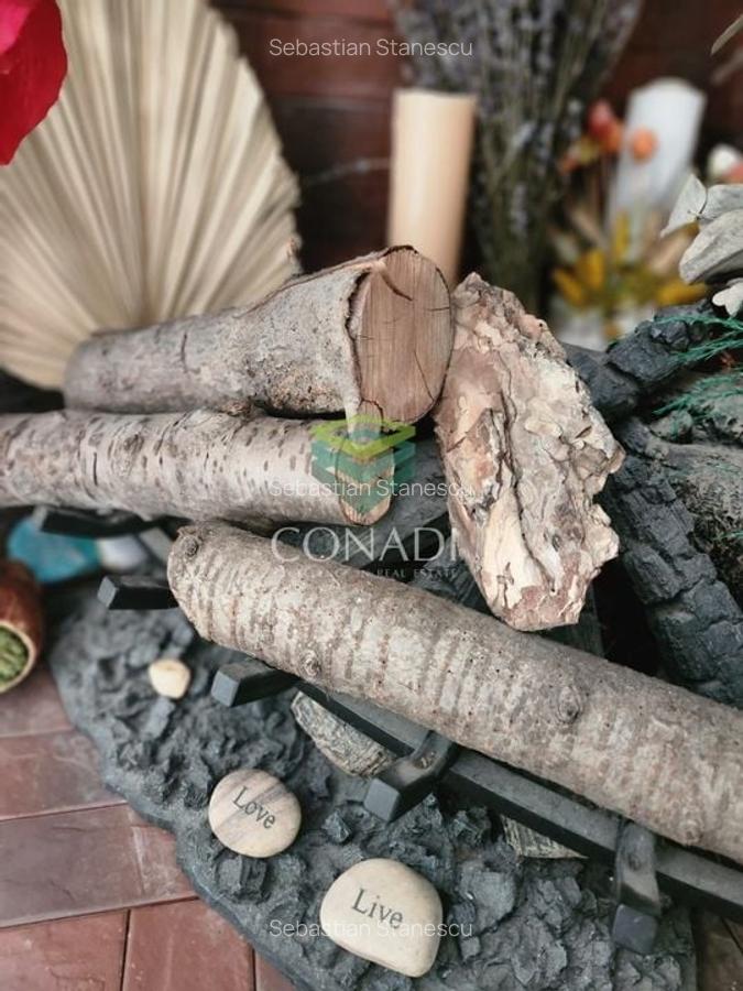 Casa fermecatoare cu  4 dormitoare de vânzare Otopeni, Penny Odai - 30