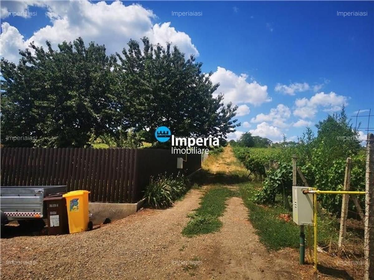 Teren intravilan de vanzare in Iasi, zona Tomesti Chicerea! - 3