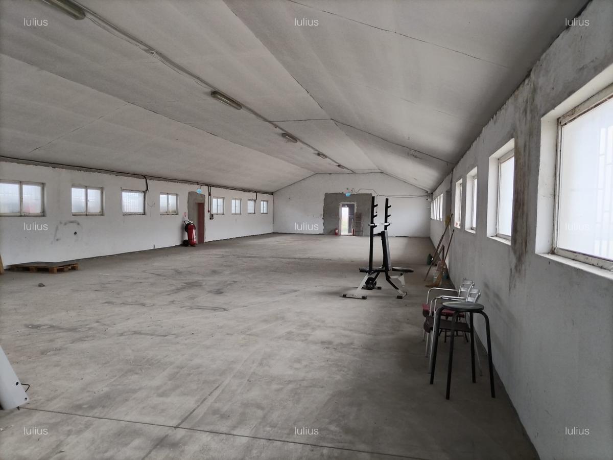 Spațiu comercial, 800 mp în Hălchiu - 3