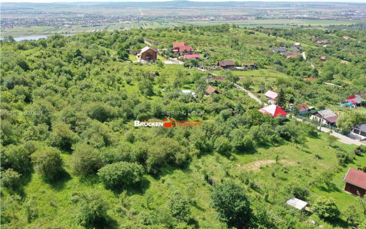 TEREN PENTRU CONSTRUCTIE REZIDENTIALA | 2878 MP | PODGORIA - 4