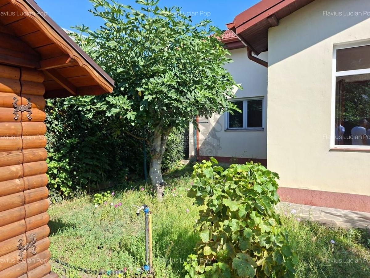 Vanzare | Casa | Otopeni Fermei | 2 Parcari | Curte libera 300 mp - 11