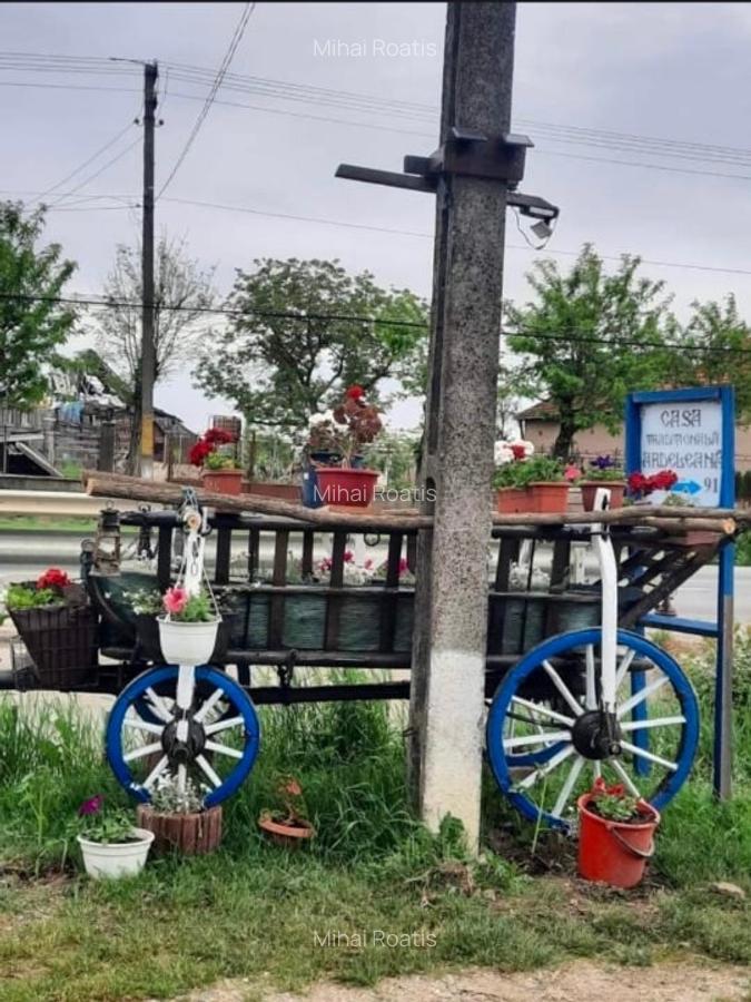 Casă cu teren generos – Mădăras, județul Satu Mare - 3