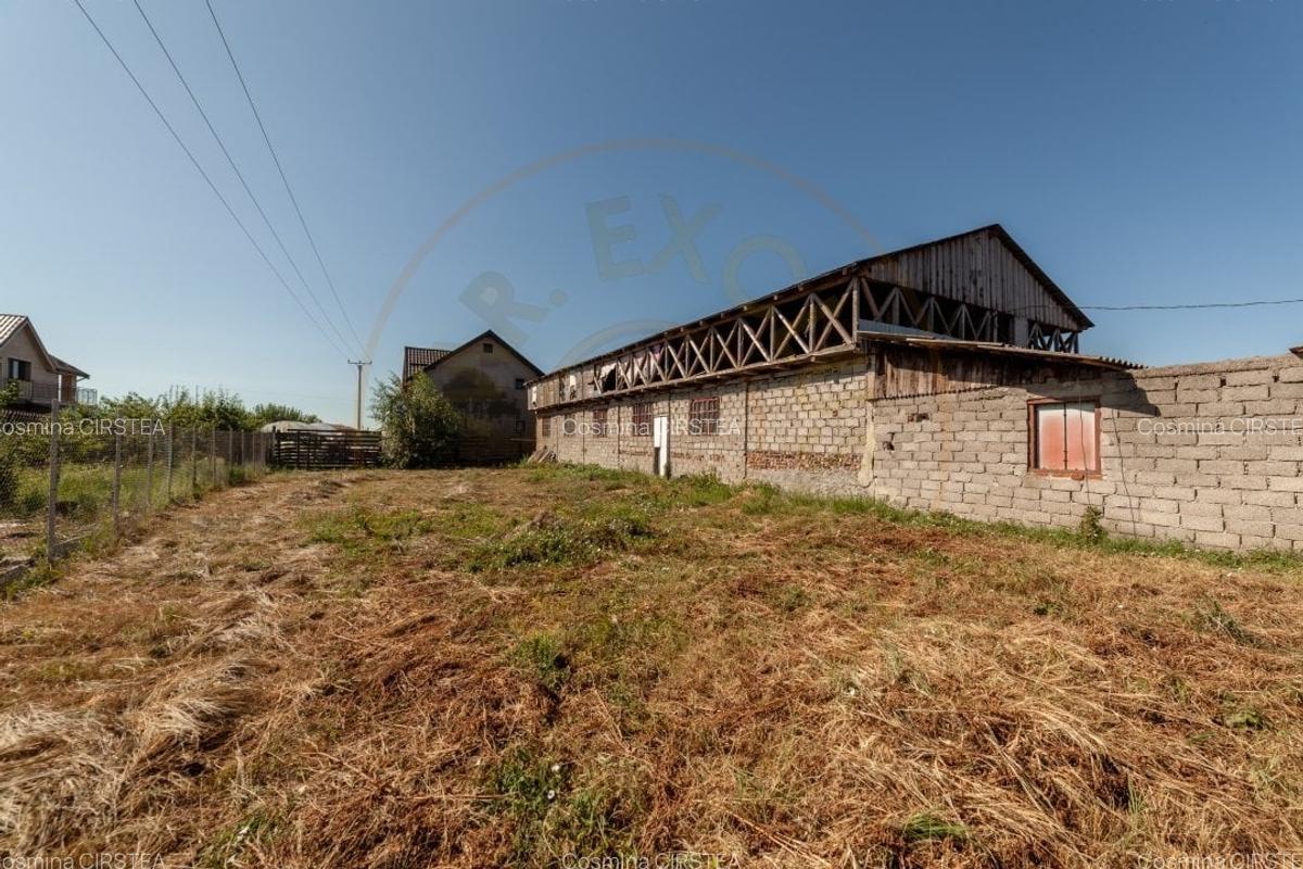 Casa pentru oameni gospodari -  Bradu - 15 minute de Pitesti - 10
