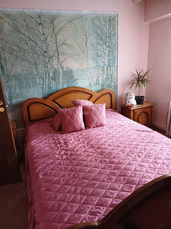 Vanzare apartament Calimanesti - 6