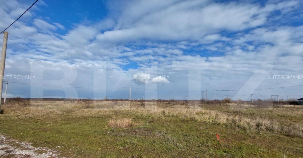 Teren arabil de vanzare, 84 ha, Berecsaul mic - 1