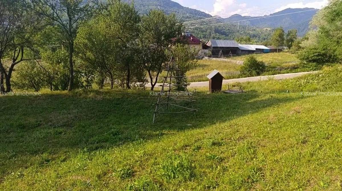 Super oferta! Teren 4874 mp in Arefu jud Arges - 6