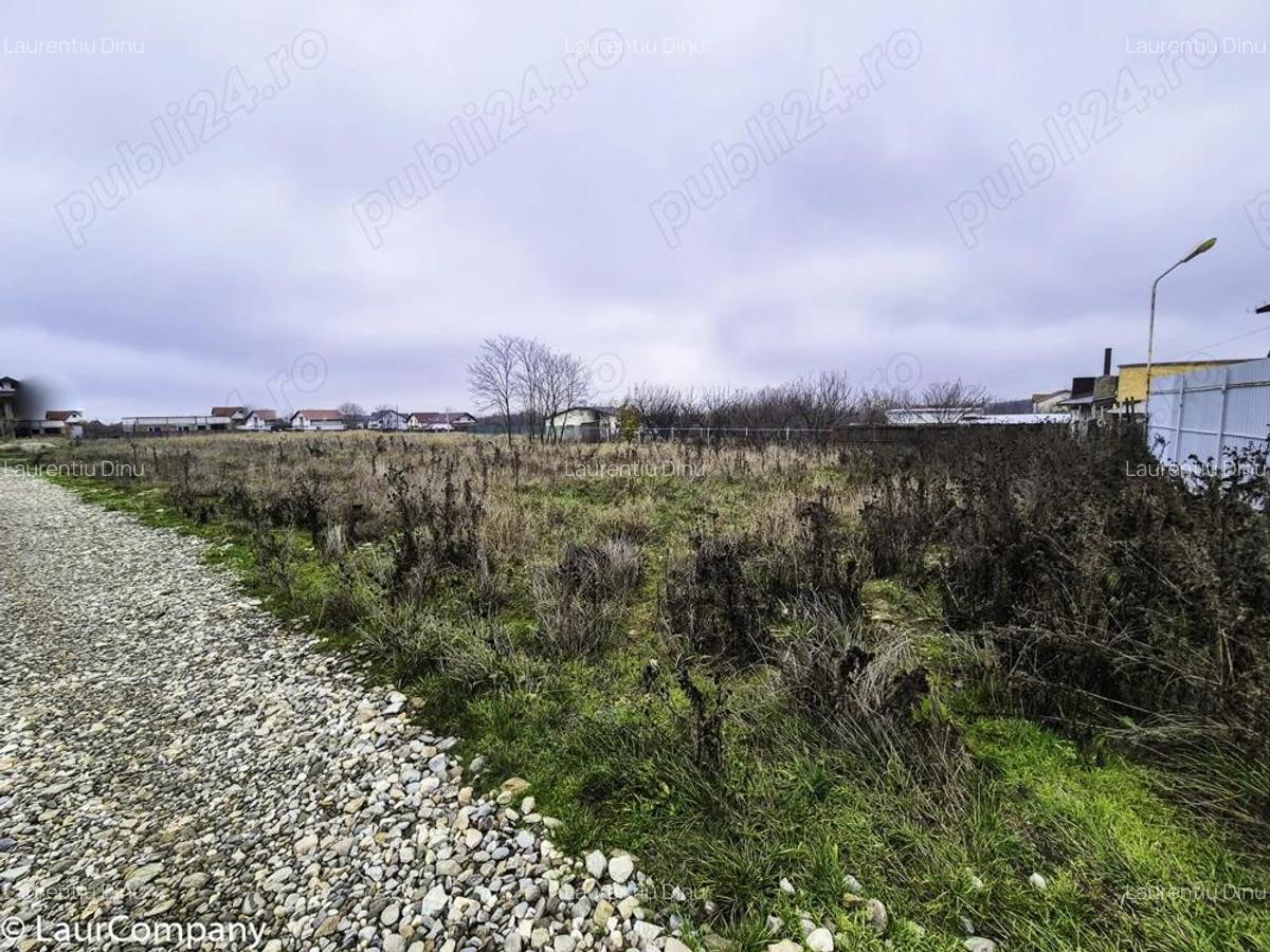 Teren intravilan Smeura Arges - 2