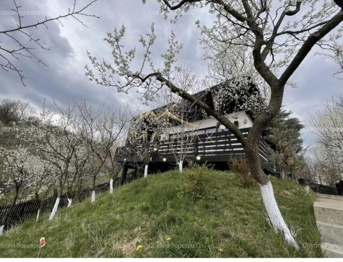 Casa de vacanta**Panorama spectaculoasa//Provita de Jos_Prahova - 3