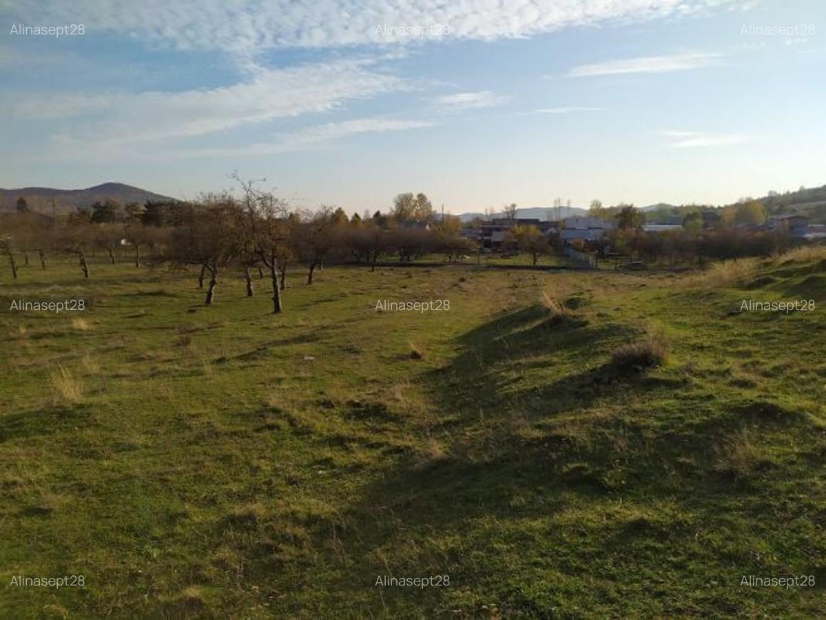 Teren intravilan DE VÂNZARE, NEGOCIABIL Campina (jud Prahova), cartier Voila (1h30min de Bucuresti) - 4