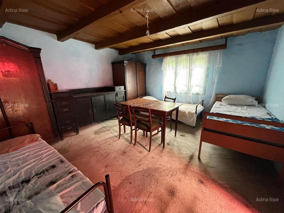 RECO Casa batraneasca cu teren generos la Lupoaia -Holod - 4