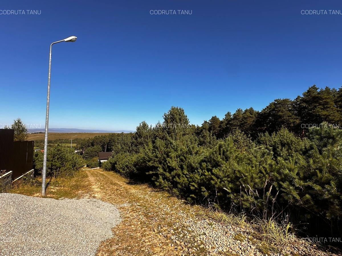 0% Comision- Teren cu constructie, langa padure-600 mp, Purcareni - 9