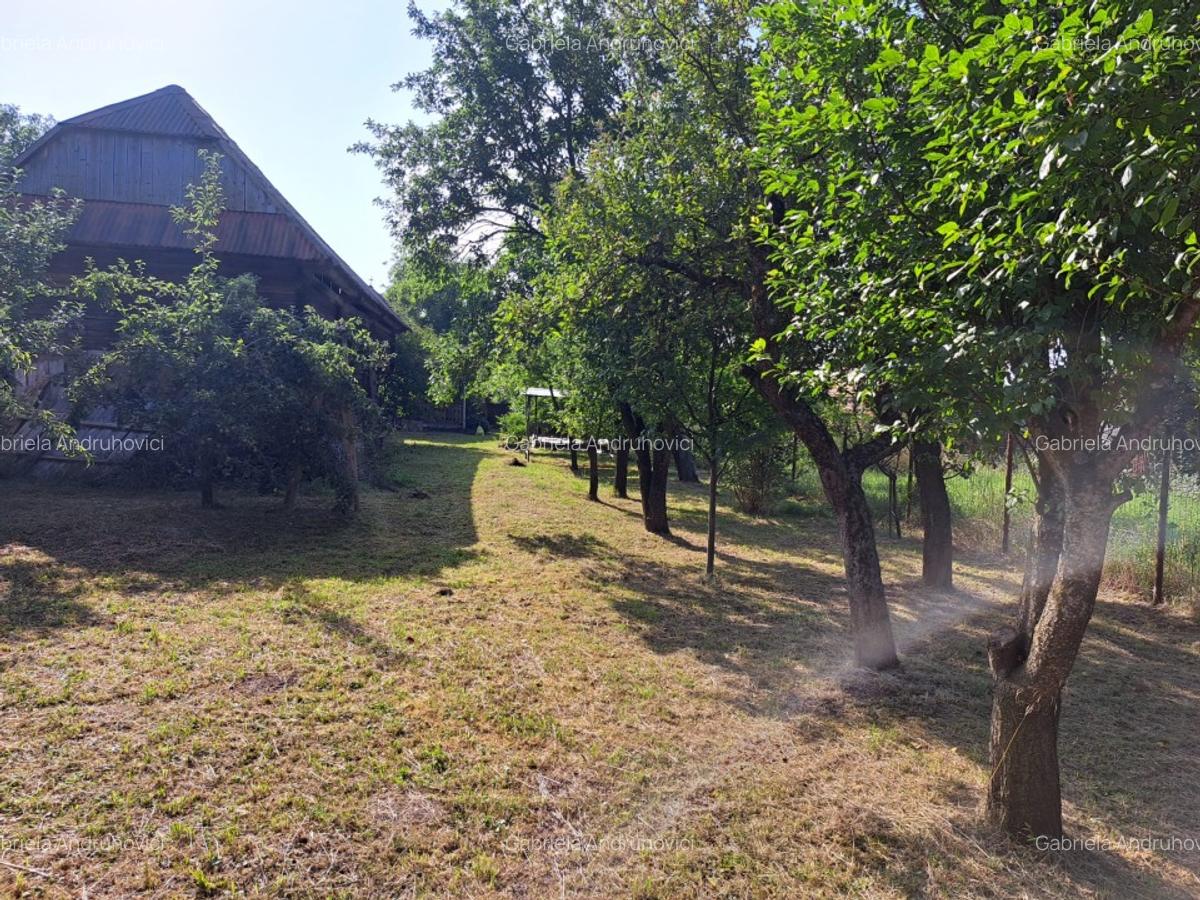 Casa primitoare situata într-o zona foarte frumoasa, liniștită cu pomi fructifer - 8