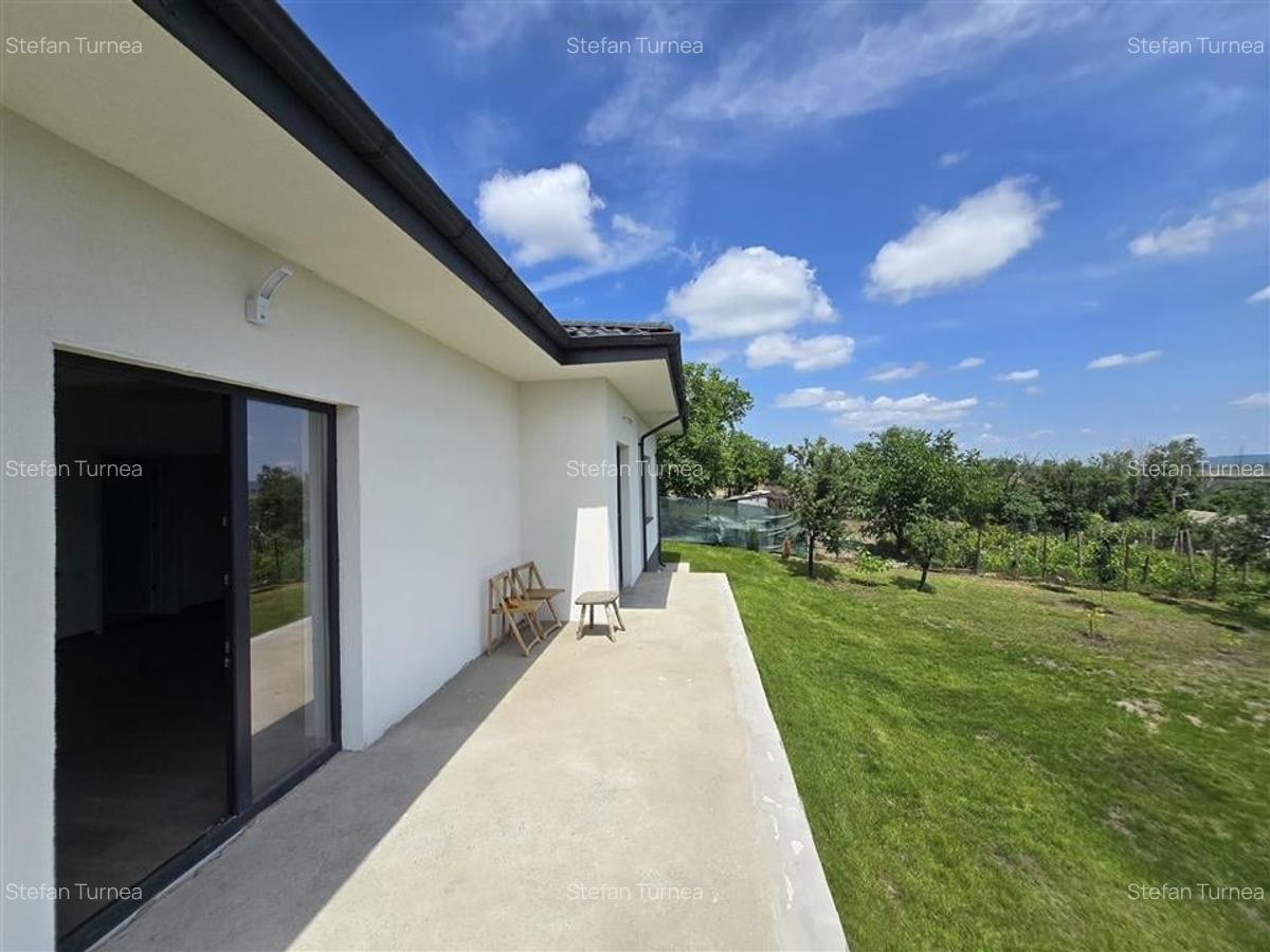 Casa  - Panoramic Probota - 9