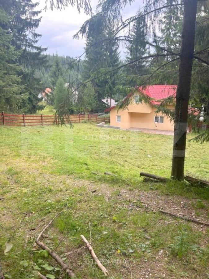 EXCLUSIV BLITZ !  Cabana in statiunea Muntele Baisorii - 3